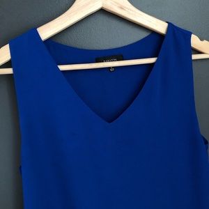 Aritzia Babaton Murphy Blouse in Blue
